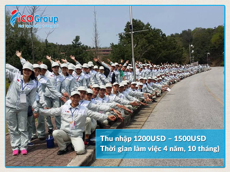 Xuất khẩu lao động Hàn Quốc năm 2017 có cơ hội thu nhập lên đến 1.500 USD.